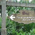 Travel to Singapore Travel Experience