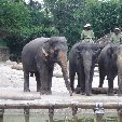 Travel to Singapore Travel Package