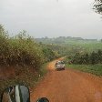 Chimp trekking Uganda Fort Portal Story Sharing