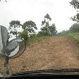 Chimp trekking Uganda Fort Portal Review Photograph