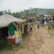Chimp trekking Uganda Fort Portal Album Photos