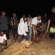 Chimp trekking Uganda Fort Portal Diary Experience