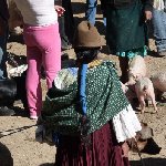 Excursion to Otavalo market Ecuador Photographs