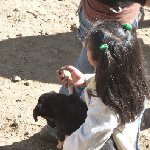 Excursion to Otavalo market Ecuador Trip Pictures