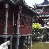 Trip to Shanghai China Travel Experience