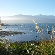 Wildlife tours in Kaikoura New Zealand Holiday Photos