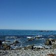 Wildlife tours in Kaikoura New Zealand Trip Pictures