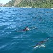 Wildlife tours in Kaikoura New Zealand Vacation Picture