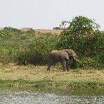 Uganda wildlife safari Kasese Diary Tips Uganda wildlife safari
