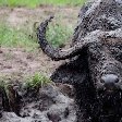 Uganda wildlife safari Kasese Trip Photographs
