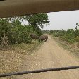 Uganda wildlife safari Kasese Vacation Sharing