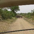 Uganda wildlife safari Kasese Travel Sharing