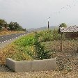 Uganda wildlife safari Kasese Photo