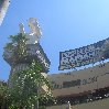 Tour around Hollywood United States Picture gallery