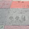 Tour around Hollywood United States Travel Blog