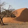 Namibia Kalahari Desert lodge safari Otjiwarongo Blog Pictures