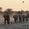 Namibia Kalahari Desert lodge safari Otjiwarongo Picture