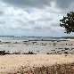 Cape York camping tour from Cairns Australia Blog Review