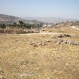   Jerash Jordan Trip Experience