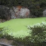 Day Trip to Rotorua from Auckland New Zealand Travel Gallery