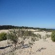   Fraser Island Australia Vacation Sharing