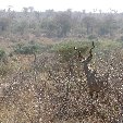   Mpumalanga South Africa Vacation Picture