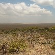 Ngorongoro Tanzania