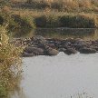 Ngorongoro Crater Lodge safari Tanzania Travel Album