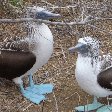 Galapagos Islands boat ride Ecuador Blog Photography