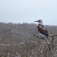 Galapagos Islands boat ride Ecuador Travel Photo