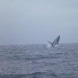 Galapagos Islands boat ride Ecuador Review Gallery