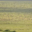   Seronera Tanzania Photo