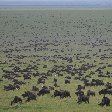 Serengeti NP Tanzania migration safari Seronera Travel Blog