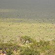 Serengeti NP Tanzania migration safari Seronera Trip Experience