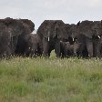 Serengeti NP Tanzania migration safari Seronera Blog Photos