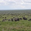 Serengeti NP Tanzania migration safari Seronera Blog Photo