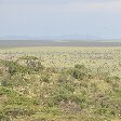 Serengeti NP Tanzania migration safari Seronera Trip Picture