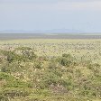   Seronera Tanzania Trip Picture