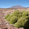 Salar de Uyuni tour in Bolivia Potosi Diary Photo