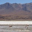 Salar de Uyuni tour in Bolivia Potosi Review Photo