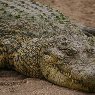 Etosha National Park Namibia Trip Sharing