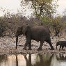 Etosha National Park Namibia 