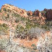 Zion National Park United States Holiday Photos