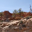 Zion National Park United States