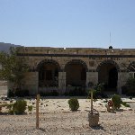   Palmyra Syria Holiday Experience