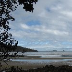 Holiday in Coromandel New Zealand Vacation Picture