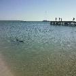 Feeding at Monkey Mia Dolphin Resort Australia Blog Sharing