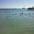 Feeding at Monkey Mia Dolphin Resort Australia Diary Photo