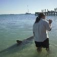 Feeding at Monkey Mia Dolphin Resort Australia Travel Experience