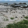 Travel to Cape Town South Africa Picture gallery